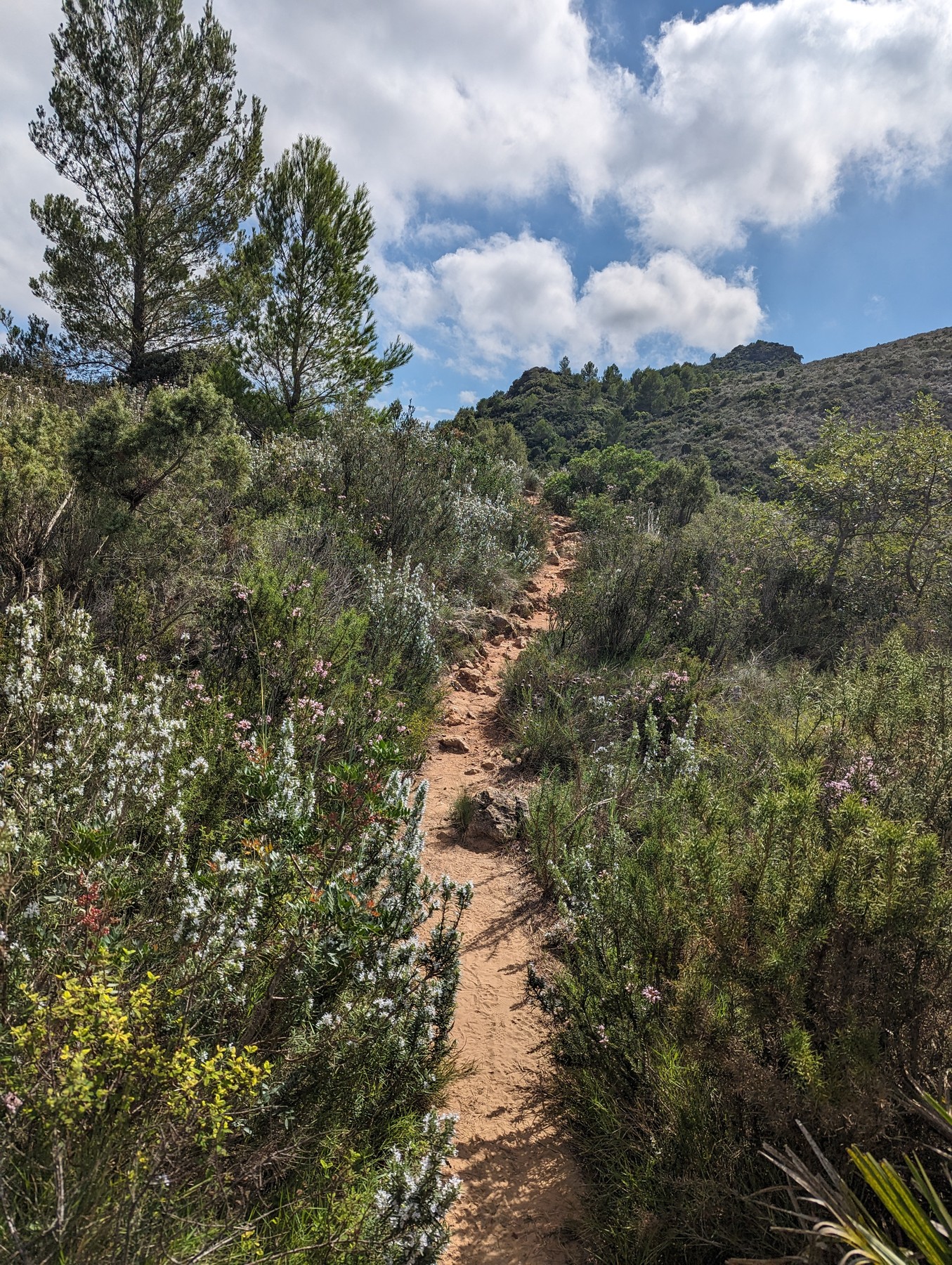 Local hiking Marxuquera